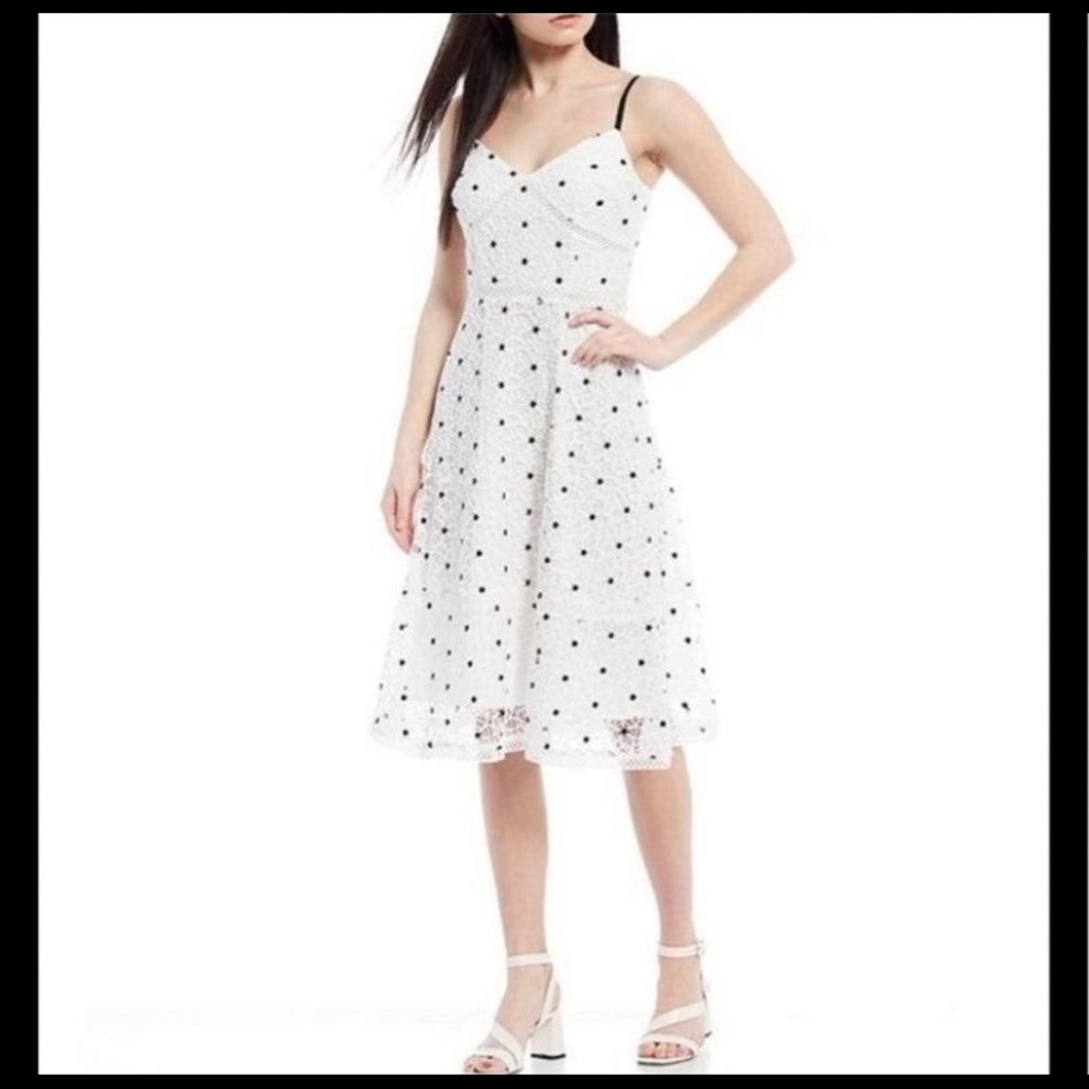 New with Tags! Antonio Melani Summer Dress, Ivory/Black, Size 2